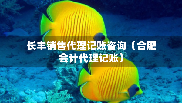 長(zhǎng)豐銷售代理記賬咨詢（合肥會(huì)計(jì)代理記賬）