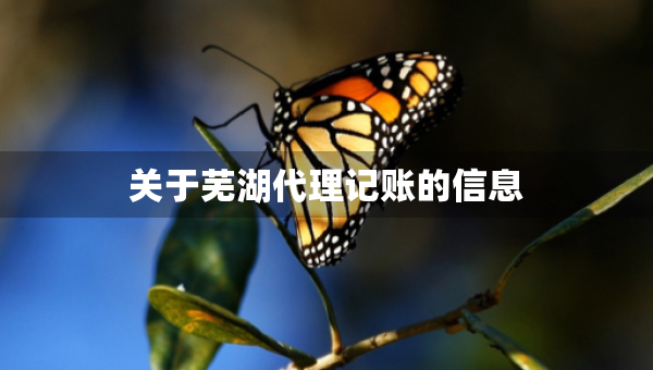 關于蕪湖代理記賬的信息