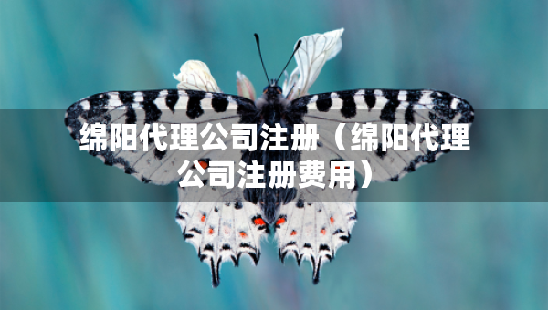 綿陽(yáng)代理公司注冊(cè)（綿陽(yáng)代理公司注冊(cè)費(fèi)用）