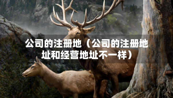 公司的注冊(cè)地（公司的注冊(cè)地址和經(jīng)營(yíng)地址不一樣）