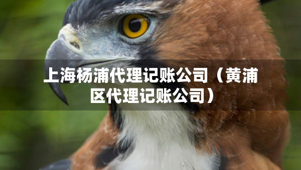 上海楊浦代理記賬公司（黃浦區(qū)代理記賬公司）