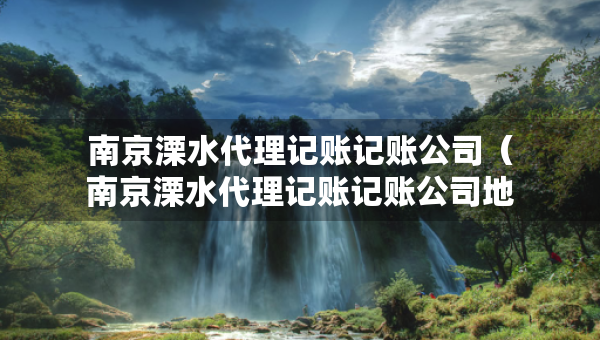 南京溧水代理記賬記賬公司（南京溧水代理記賬記賬公司地址）