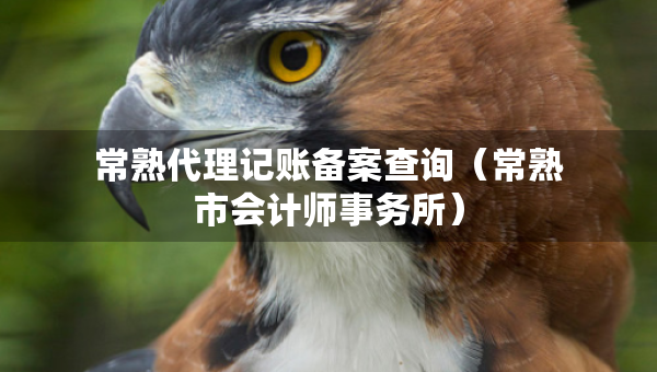 常熟代理記賬備案查詢（常熟市會計師事務所）