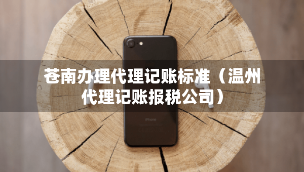 蒼南辦理代理記賬標準（溫州代理記賬報稅公司）
