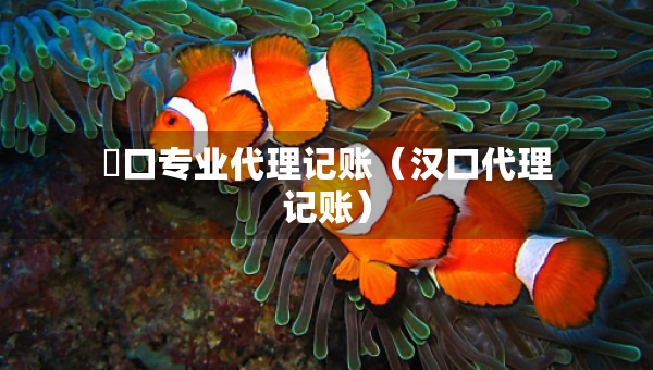 硚口專業(yè)代理記賬（漢口代理記賬）