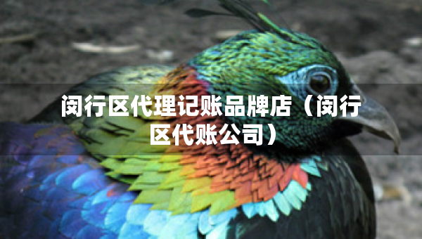 閔行區(qū)代理記賬品牌店（閔行區(qū)代賬公司）