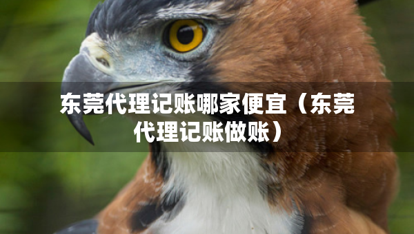 東莞代理記賬哪家便宜（東莞代理記賬做賬）
