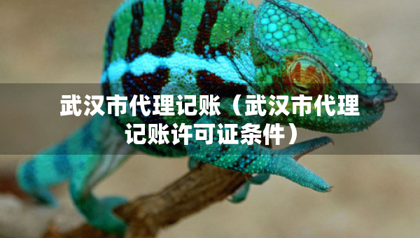 武漢市代理記賬（武漢市代理記賬許可證條件）