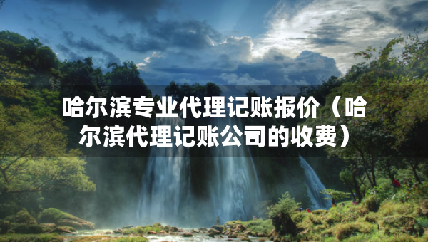 哈爾濱專業(yè)代理記賬報(bào)價(jià)（哈爾濱代理記賬公司的收費(fèi)）