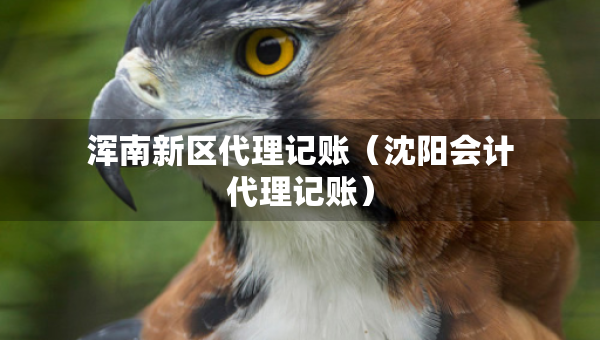 渾南新區(qū)代理記賬（沈陽會計代理記賬）