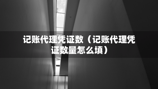 記賬代理憑證數(shù)（記賬代理憑證數(shù)量怎么填）