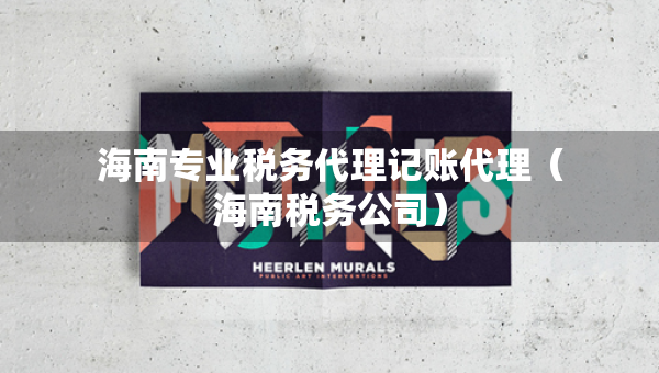 海南專(zhuān)業(yè)稅務(wù)代理記賬代理（海南稅務(wù)公司）