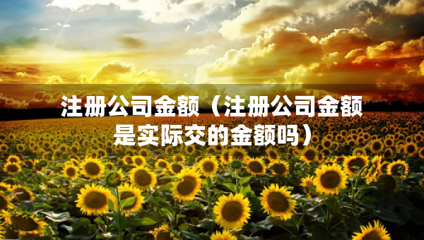 注冊公司金額（注冊公司金額是實際交的金額嗎）