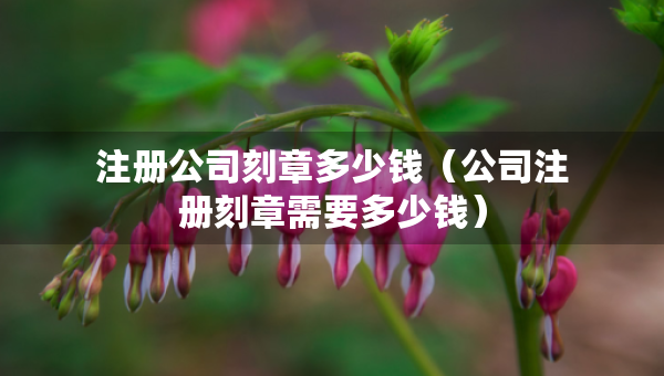 注冊公司刻章多少錢（公司注冊刻章需要多少錢）
