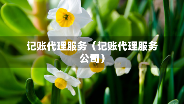 記賬代理服務（記賬代理服務公司）