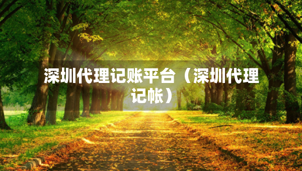 深圳代理記賬平臺（深圳代理記帳）