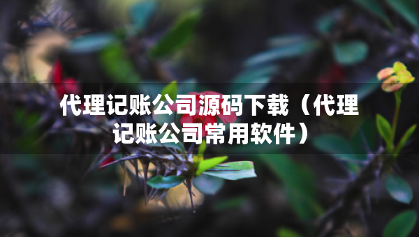 代理記賬公司源碼下載（代理記賬公司常用軟件）