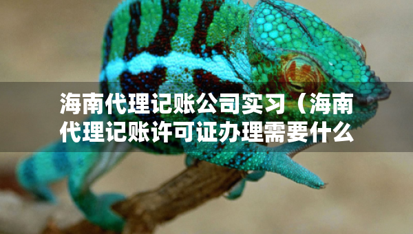 海南代理記賬公司實習(xí)(海南代理記賬許可證辦理需要什么條件) 海南代理記賬公司實習(xí)(海南代理記賬許可證辦理需要什么條件)