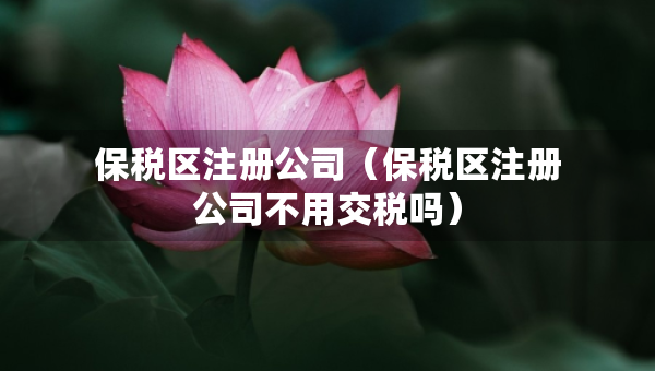 保稅區(qū)注冊公司(保稅區(qū)注冊公司不用交稅嗎) 保稅區(qū)注冊公司(保稅區(qū)注冊公司不用交稅嗎)