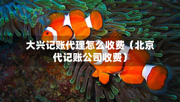 大興記賬代理怎么收費(fèi)（北京代記賬公司收費(fèi)）