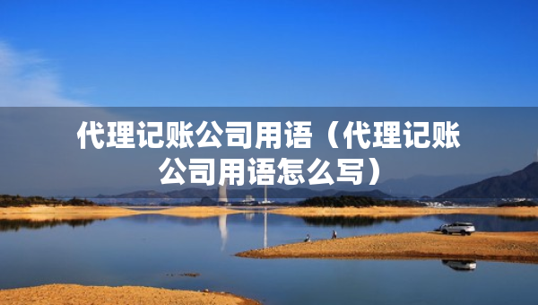 代理記賬公司用語(代理記賬公司用語怎么寫) 代理記賬公司用語(代理記賬公司用語怎么寫)