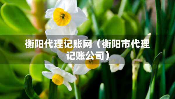衡陽代理記賬網(wǎng)(衡陽市代理記賬公司) 衡陽代理記賬網(wǎng)(衡陽市代理記賬公司)