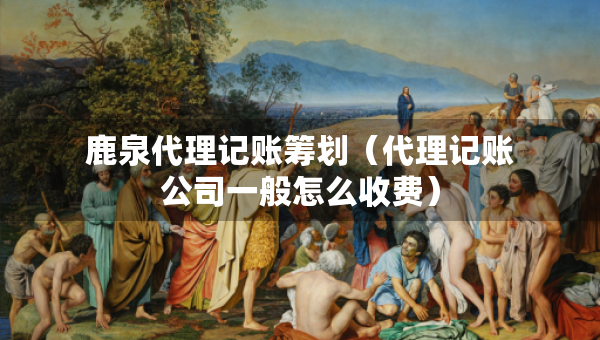 鹿泉代理記賬籌劃（代理記賬公司一般怎么收費(fèi)）