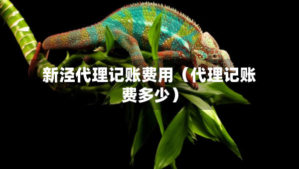 新涇代理記賬費(fèi)用（代理記賬費(fèi)多少）