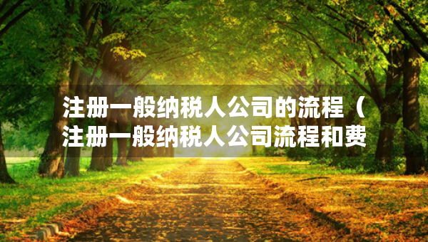注冊(cè)一般納稅人公司的流程（注冊(cè)一般納稅人公司流程和費(fèi)用）