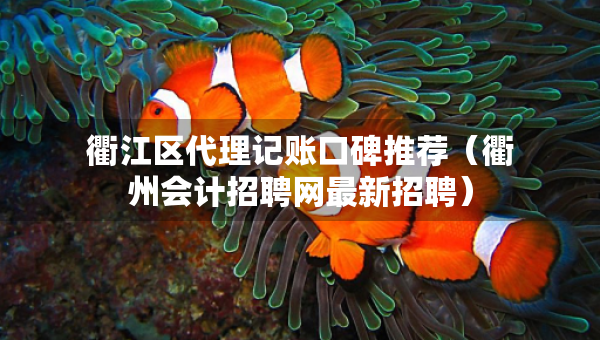 衢江區(qū)代理記賬口碑推薦（衢州會計招聘網(wǎng)最新招聘）