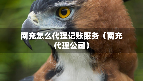 南充怎么代理記賬服務(wù)（南充代理公司）