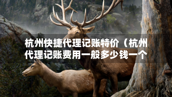 杭州快捷代理記賬特價(jià)（杭州代理記賬費(fèi)用一般多少錢一個(gè)月）
