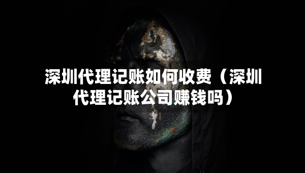 深圳代理記賬如何收費（深圳代理記賬公司賺錢嗎）