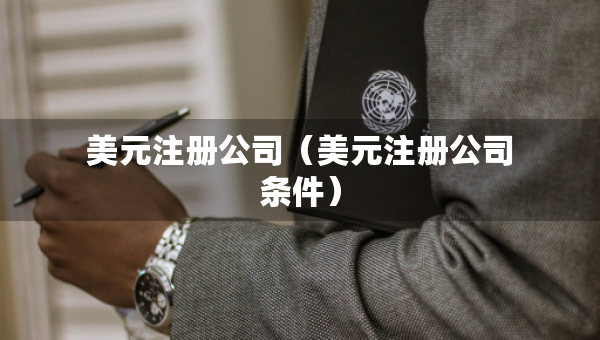 美元注冊公司（美元注冊公司條件）