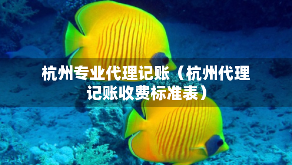 杭州專業(yè)代理記賬（杭州代理記賬收費標準表）