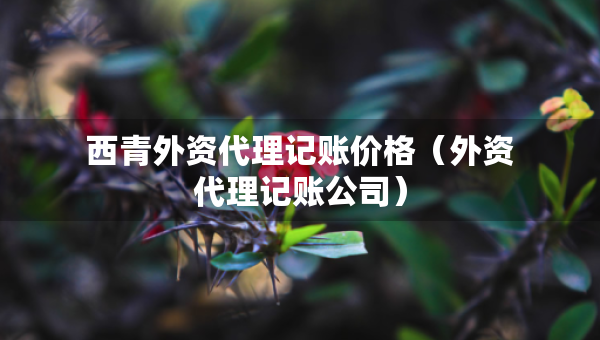 西青外資代理記賬價(jià)格（外資代理記賬公司）