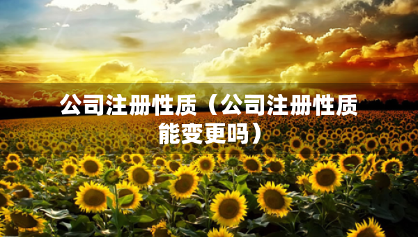 公司注冊(cè)性質(zhì)（公司注冊(cè)性質(zhì)能變更嗎）