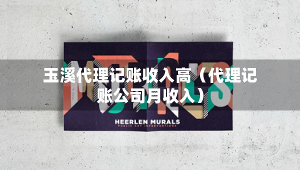 玉溪代理記賬收入高（代理記賬公司月收入）