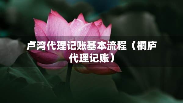 盧灣代理記賬基本流程（桐廬代理記賬）