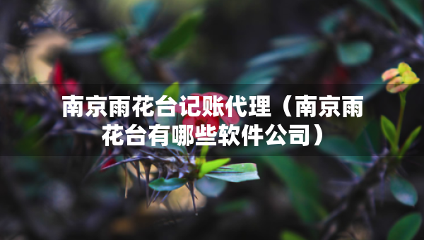 南京雨花臺(tái)記賬代理（南京雨花臺(tái)有哪些軟件公司）