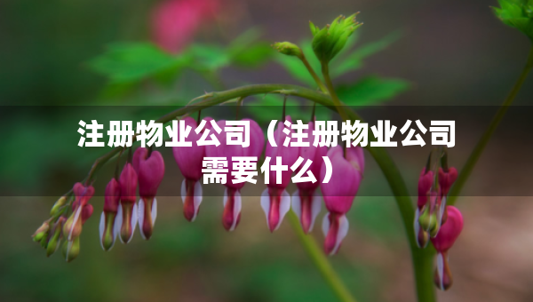 注冊物業(yè)公司（注冊物業(yè)公司需要什么）