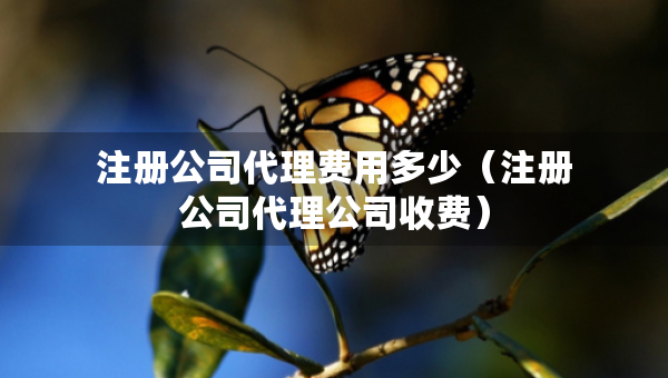 注冊(cè)公司代理費(fèi)用多少（注冊(cè)公司代理公司收費(fèi)）