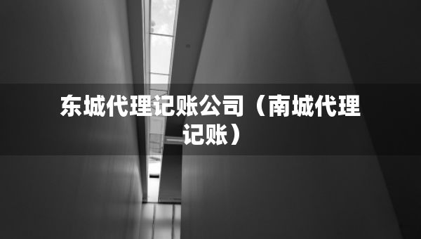 東城代理記賬公司（南城代理記賬）