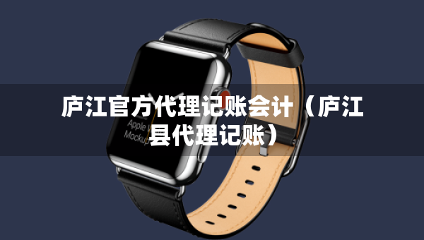 廬江官方代理記賬會(huì)計(jì)（廬江縣代理記賬）