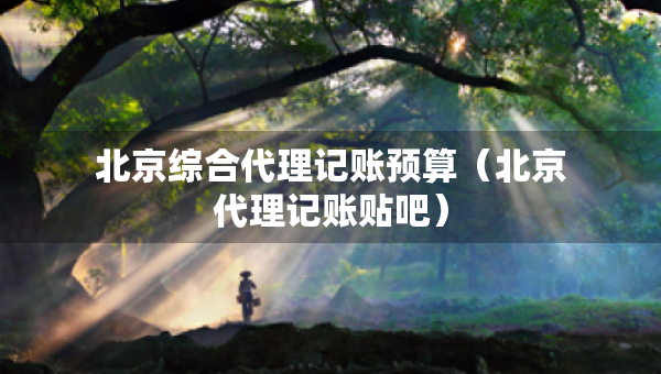 北京綜合代理記賬預(yù)算（北京代理記賬貼吧）