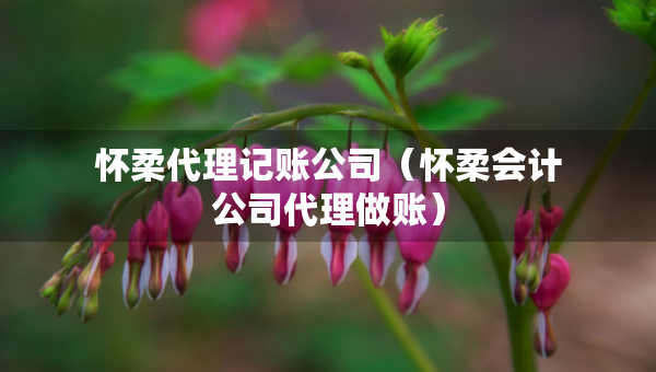懷柔代理記賬公司（懷柔會計公司代理做賬）