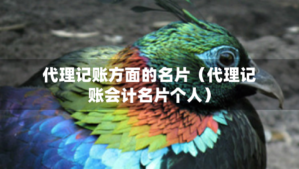 代理記賬方面的名片（代理記賬會計名片個人）