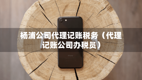 楊浦公司代理記賬稅務(wù)（代理記賬公司辦稅員）
