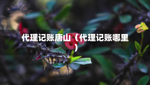 代理記賬唐山（代理記賬哪里）