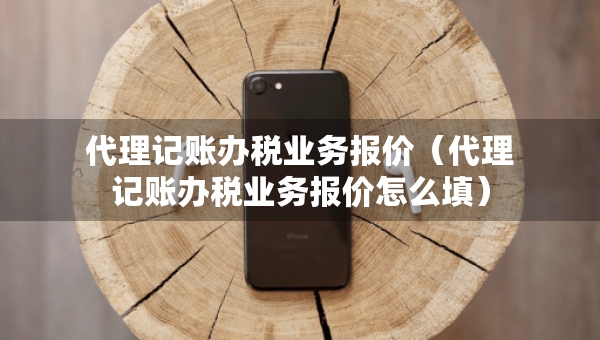 代理記賬辦稅業(yè)務(wù)報價（代理記賬辦稅業(yè)務(wù)報價怎么填）